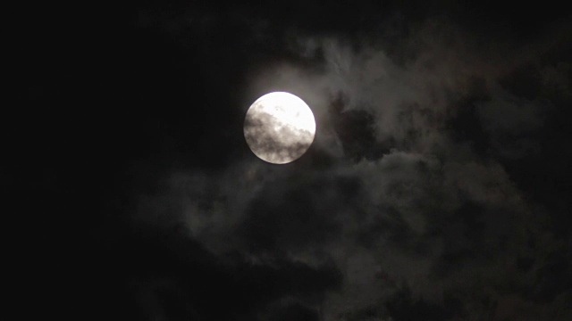在树和云上面的夜空中满月视频购买