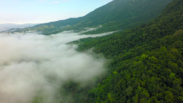 从空中拍摄泰国北部的梯田。视频素材