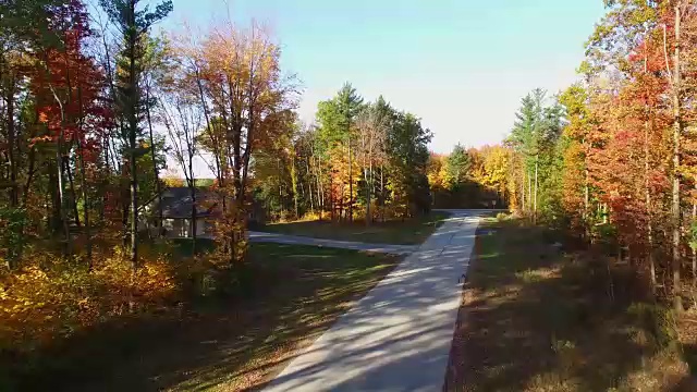 五彩秋树之路风景游。视频素材