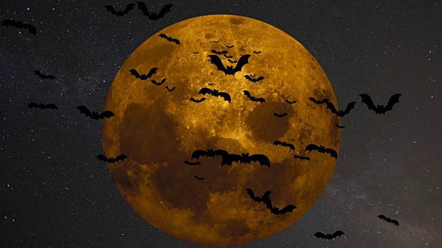 一群蝙蝠在一个黄色的大月亮的背景上视频素材