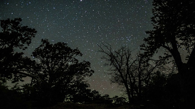 夜空时间推移，森林上空的星空和流星视频素材