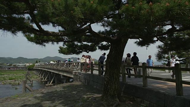 京都桂河上的聚月共桥视频下载