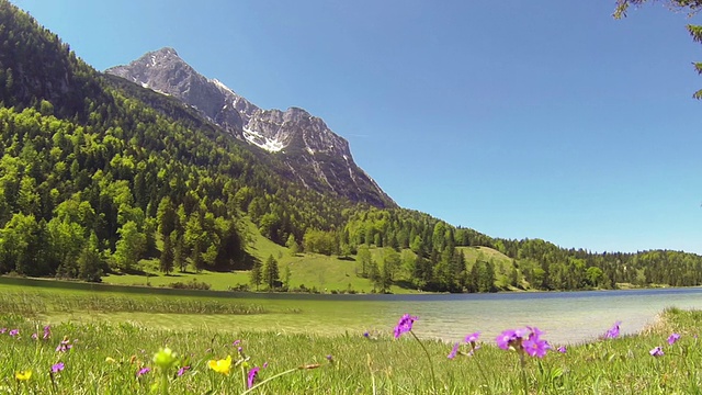 花草地和湖在阿尔卑斯山的山脉。视频素材