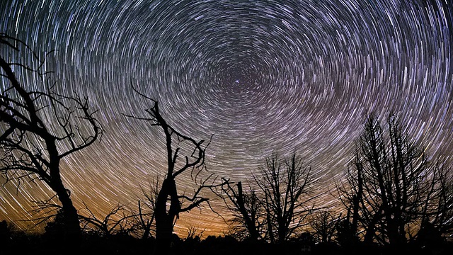 美丽的夜星轨迹围绕着北极星在森林上空旋转视频素材