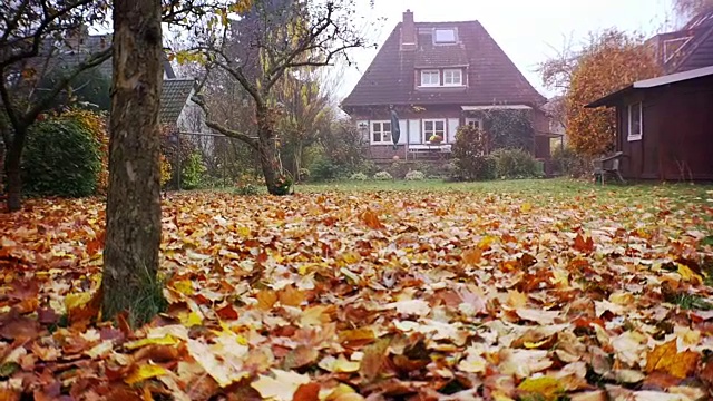 红砖小屋，房子，家和秋叶视频素材