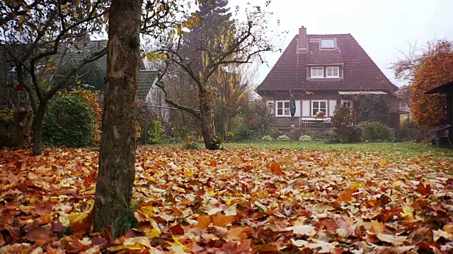 家，家在秋天，大花园视频素材