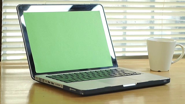 多利在绿色屏幕的笔记本电脑键盘上打字视频素材