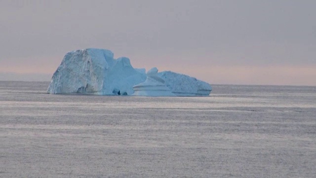 南极鲸-南极半岛-帕尔默群岛视频素材
