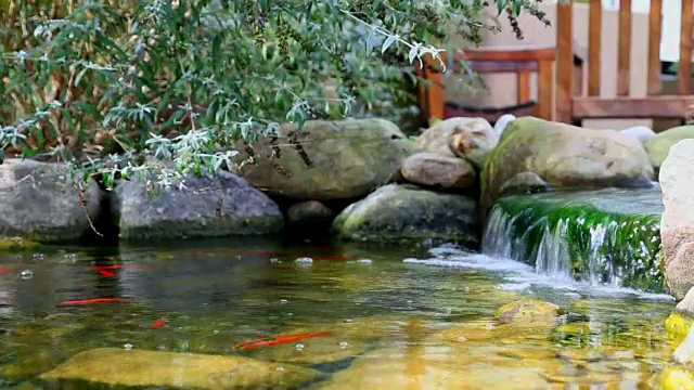 锦鲤池瀑布花园视频下载