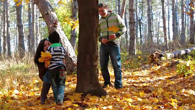 秋天的时候，年轻的母亲和儿子在公园里玩耍视频下载