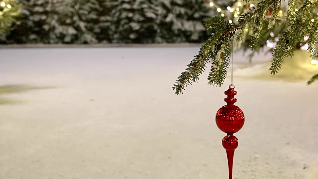 圣诞树的树枝，雪白的灌木视频素材