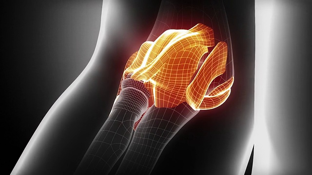 肘关节韧带和关节解剖学视频下载