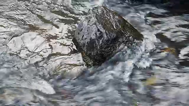 森林河流量视频素材