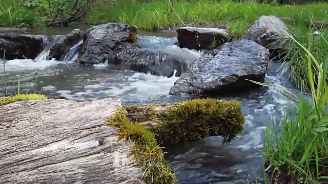 森林河流量视频素材