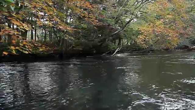 北海道湖船视频素材