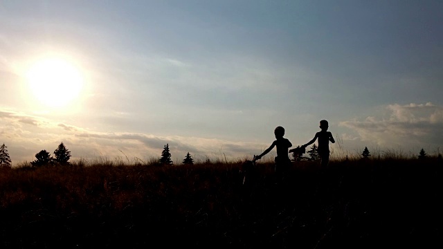 日落时分，小男孩们在绿色草地上自由奔跑视频素材
