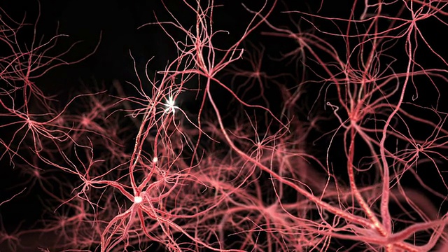 神经元突触网络。3 d动画。视频下载