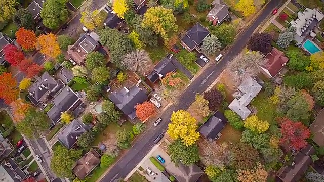 蒙特利尔顶级郊区景观和美丽的树木视频素材