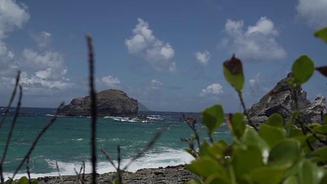 美丽的加勒比海岸，岩石峭壁视频下载