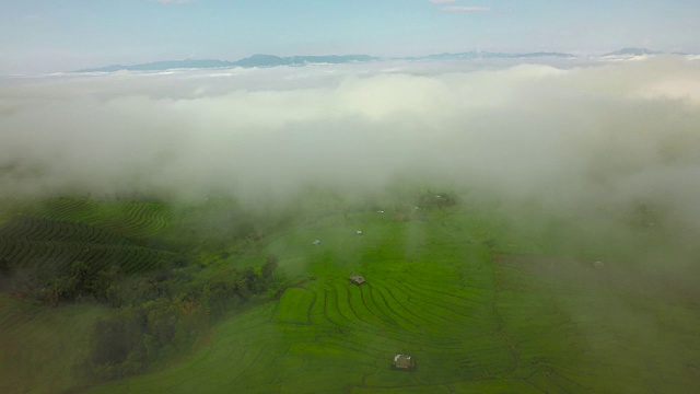 泰国北部水稻梯田航拍，4K视频素材