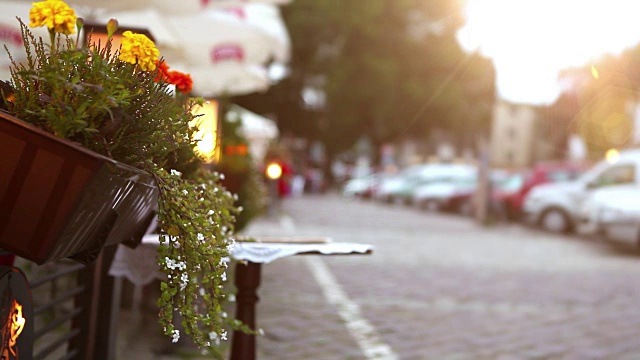 克拉科夫大街上的咖啡馆外摆着一套漂亮的鲜花视频素材