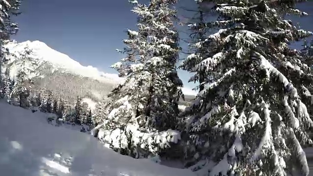 滑雪者穿过积雪森林的4K视频视频素材