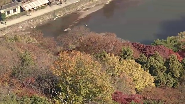 空中，岚山和佐野地区，京都，在树叶季节视频下载