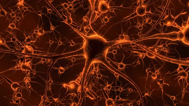 人的大脑和神经元视频素材