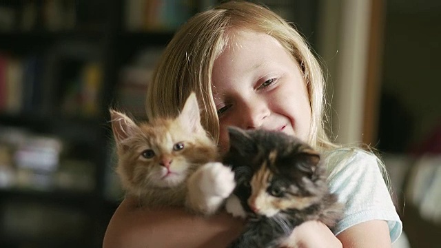 一个小女孩怀里抱着两只小猫视频素材