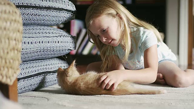 一个小女孩坐在地板上抚摸着一只小猫视频素材