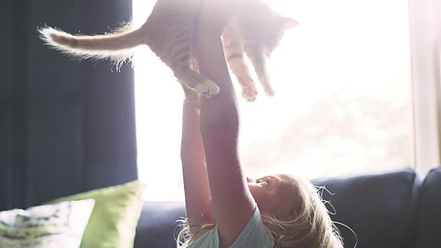 一个小女孩把一只猫举过头顶，然后给它一个拥抱视频素材