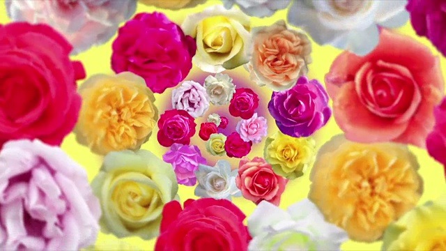 五彩螺旋的旋转玫瑰。视频下载
