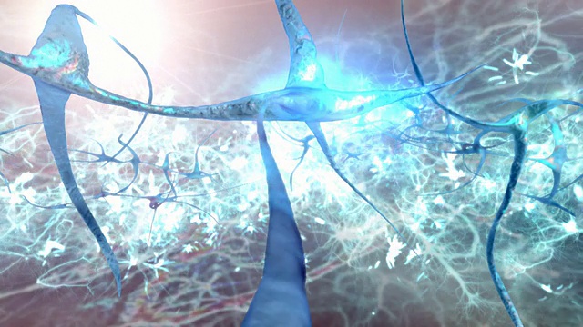 大脑神经元追踪活跃视频下载