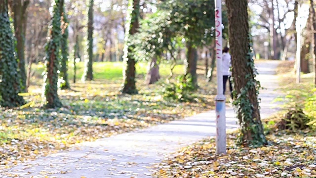 运动的年轻女子在公园里跑步视频下载