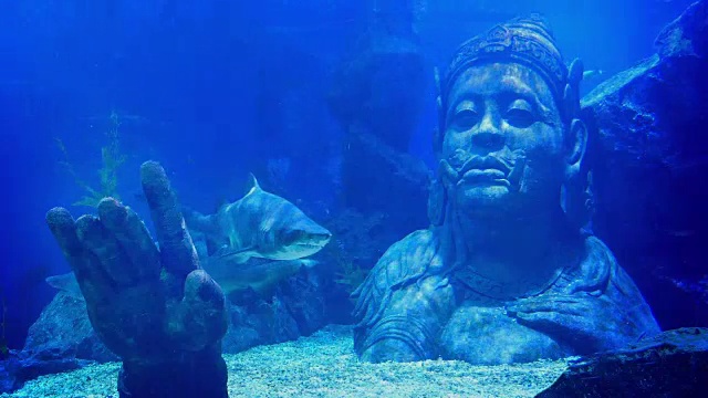 鲨鱼在淹没的古代雕像附近游泳视频购买