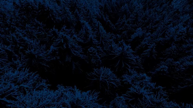 夜间在崎岖的森林山谷上空飞行视频素材