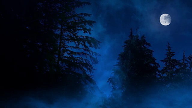夜森林，迷雾沼泽和月亮视频素材