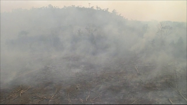 空地上的农田跟踪镜头燃烧的雨林烟雾上升宽镜头空中拍摄视频素材