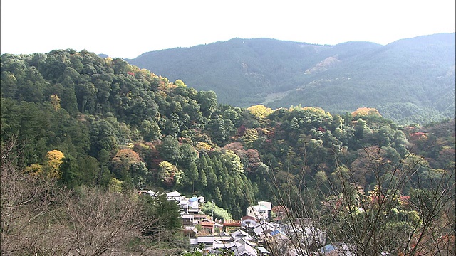 潘从秋叶染红的山峦到依偎在树间的奈良寺庙的屋顶视频素材