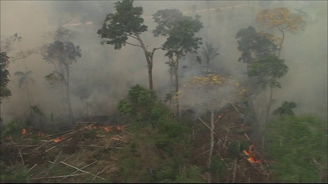 被清除的雨林上的农田跟踪镜头烧焦的土地上冒出浓烟宽镜头空中拍摄视频素材