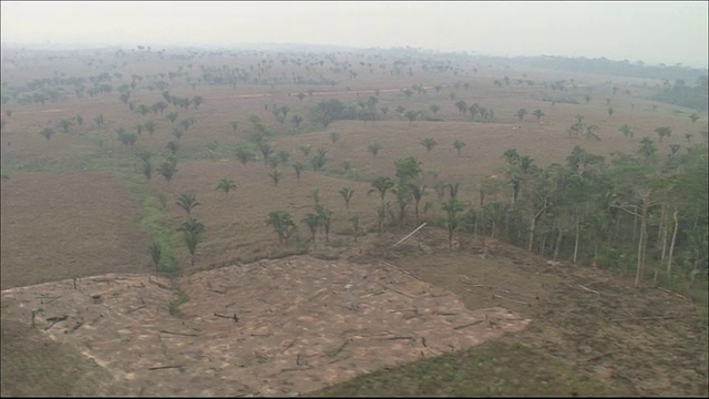 亚马逊河流域的热带雨林跟踪拍摄空地上的农田航拍视频素材