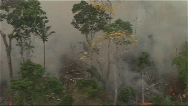 被清除的雨林上的农田跟踪镜头烧焦的土地上冒出浓烟宽镜头空中拍摄视频素材