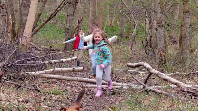 一群孩子在森林里玩游戏视频素材