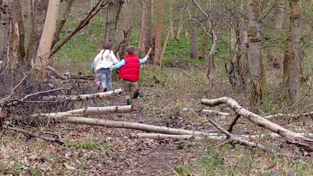 一群孩子在森林里玩游戏视频素材