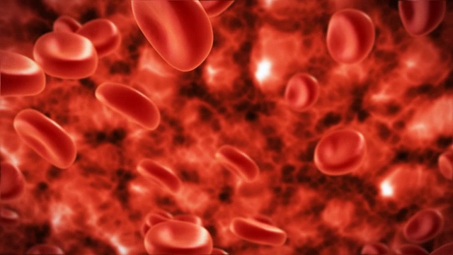 在静脉中流动的血细胞视频素材