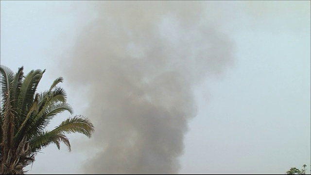 烟雾从巴西的雨林升起。亚马逊丛林视频素材