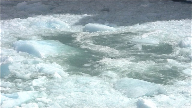 在巴塔哥尼亚的阿根廷湖的表面上漂浮着陨落的冰块视频素材