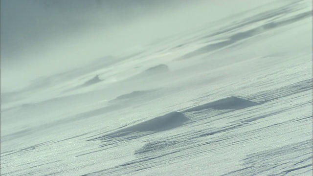 北海道大雪山火山群冬季降雪视频素材