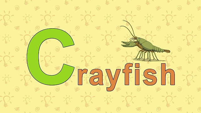 小龙虾。英语动物园字母表-字母C视频下载