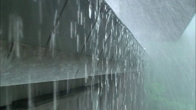 Rain_daigahara奈良视频素材